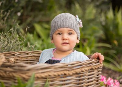 baby curiously looking out ofbasket