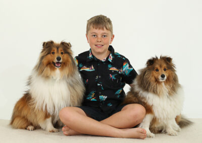 Happy portrait photo of a boy and his two pet dogs, taken in a professional portrait studio. Children Portrait photography in Auckland featuring son & collie pet dogs.