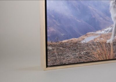 Tray Framed canvas detail in oak frame