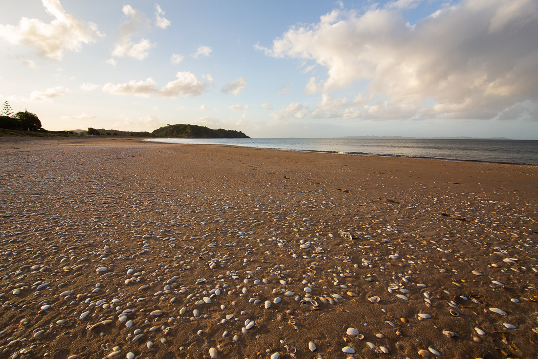 Shells Up North - Image 2