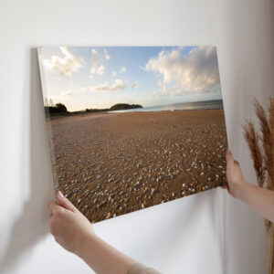 Beachy shells and sand canvas in female hands, picture. Woman hanging canvas on white wall in interior with dry grass and beige curtains